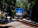 74 - Amtrak Silver Meteor